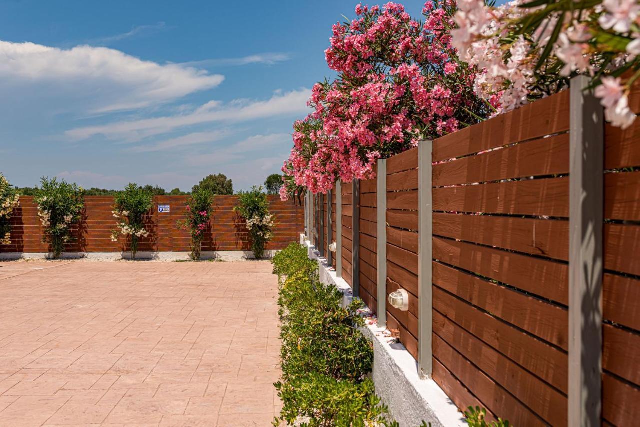 Blossom Villa Laganas Extérieur photo
