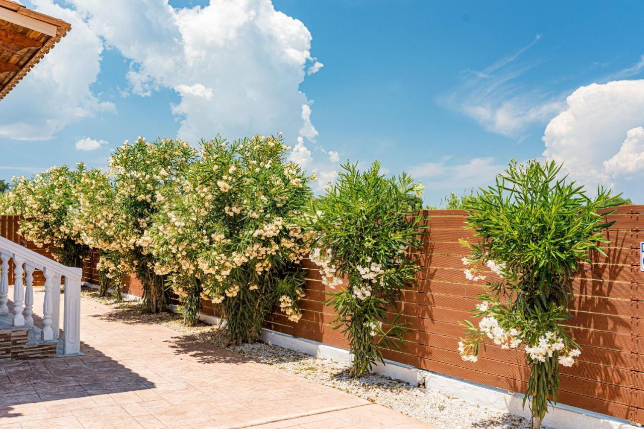 Blossom Villa Laganas Extérieur photo